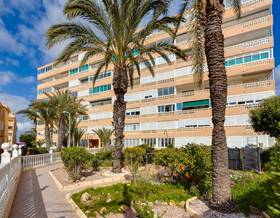 apartment sale alicante torrevieja by 129,900 eur
