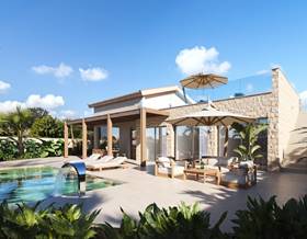 houses for sale in pozo estrecho