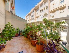 houses for sale in los montesinos