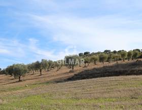 rustic property sale toledo by 4,150,000 eur