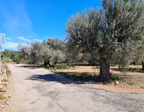 land sale tarragona sant carles de la rapita by 77,000 eur