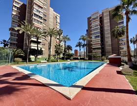 apartments for sale in benidorm