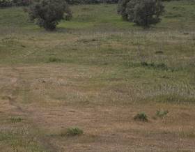 land sale zafra zafra by 7,000 eur