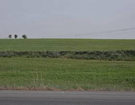 land sale zafra puebla de sancho pérez by 60,000 eur