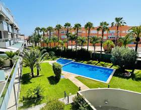 apartments for rent in alicante province