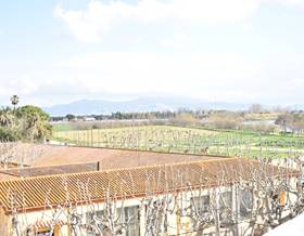 apartments for sale in sant pere pescador