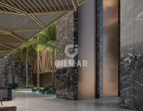 apartments for sale in san luis de sabinillas