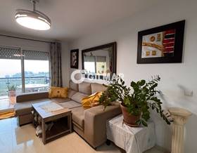apartments for rent in canillas de aceituno