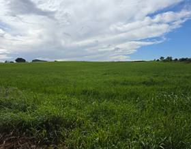 land sale zafra puebla de sancho pérez by 30,000 eur