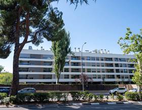 flat rent madrid madrid capital by 3,600 eur