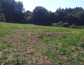 lands for sale in meira