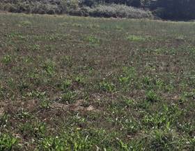 lands for sale in outeiro de rei