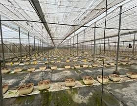 industrial warehouses for sale in motril