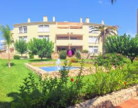 apartments for rent in javea xabia