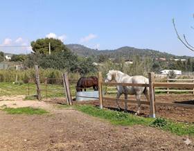 land sale tortosa campredo by 255,000 eur