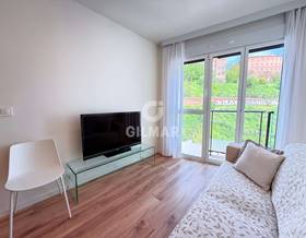 houses for rent in downtown madrid