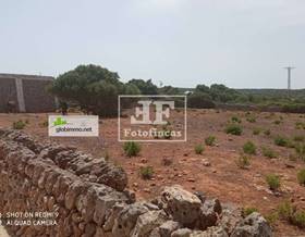 lands for sale in alaior
