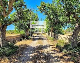 single family house sale alaior by 3,569,000 eur