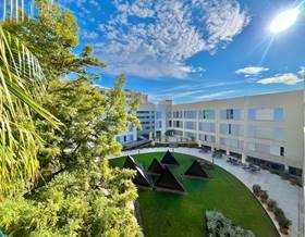 apartments for sale in arenal
