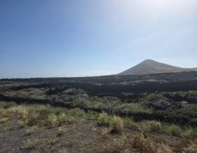 lands for sale in lanzarote las palmas