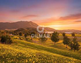villas for sale in manilva