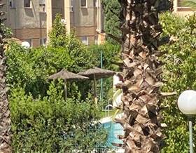 houses for rent in coria del rio