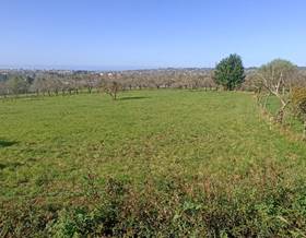 lands for sale in asturias province