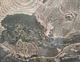 lands for sale in alicante province