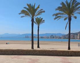 houses for sale in cullera