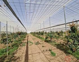 lands for sale in almuñecar