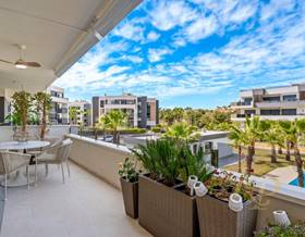 apartments for sale in san miguel de salinas