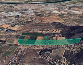 land sale amposta rústica by 332,000 eur