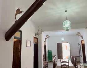 houses for rent in rociana del condado