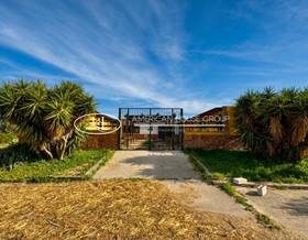 land sale chiclana de la frontera pago del humo by 160,000 eur