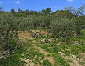 land sale castell de castells comunidad valenciana by 87,000 eur