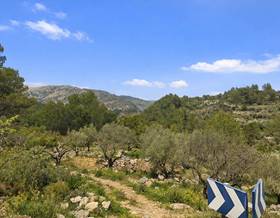 lands for sale in benimeli