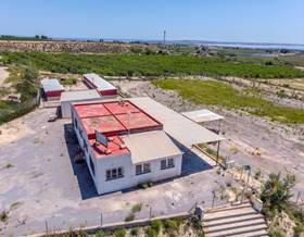 lands for sale in los montesinos