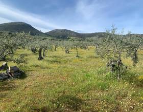 lands for sale in mirabel