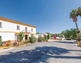 rustic property sale huelva la ribera by 900,000 eur
