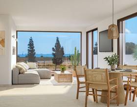 villas for sale in san pedro del pinatar
