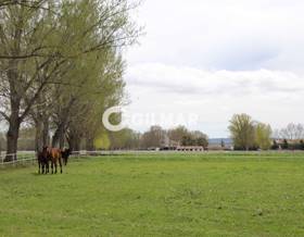 lands for sale in madrid province