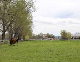 rustic property sale aranjuez by 2,250,000 eur