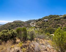 land sale malaga benahavís by 750,000 eur