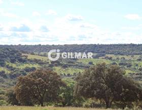 lands for sale in poblete