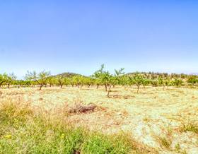 lands for sale in fortuna