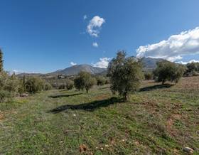land sale granada cogollos de la vega by 60,000 eur