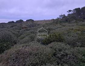 lands for sale in balearic islands