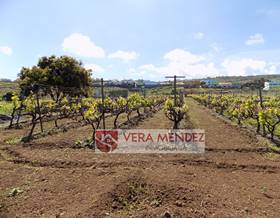 lands for sale in mesa del mar