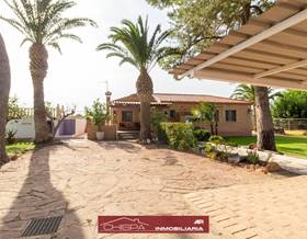houses for rent in naquera