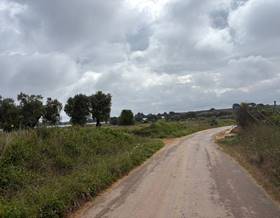 lands for sale in bonares
